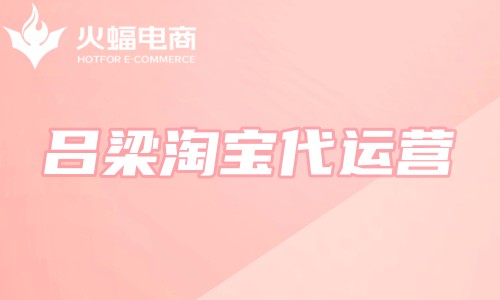 呂梁淘寶代運(yùn)營
